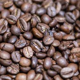 Kaffee­maschinen bei WW-Elektrotechnik e.K. in Rieneck